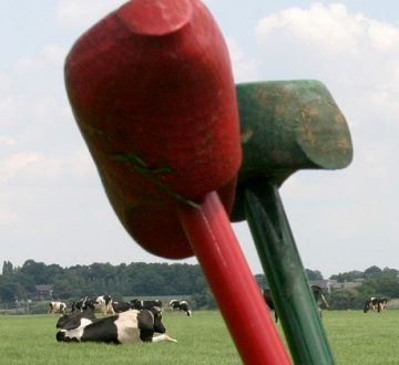 Bauerngolf und Solexvermietung