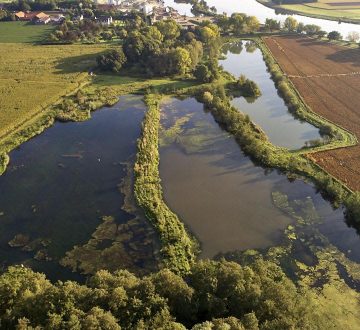 Natuurgebied Weerdbeemden